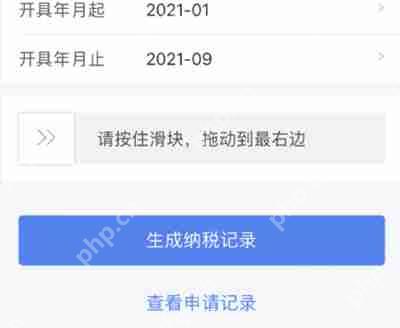 个人所得税纳税记录怎么开具