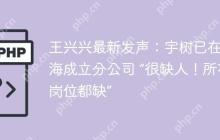 王兴兴最新发声：宇树已在上海成立分公司 “很缺人！所有岗位都缺”