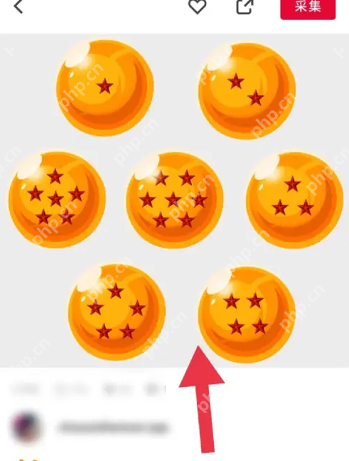 花瓣app怎么下载素材 花瓣app下载图片素材方法