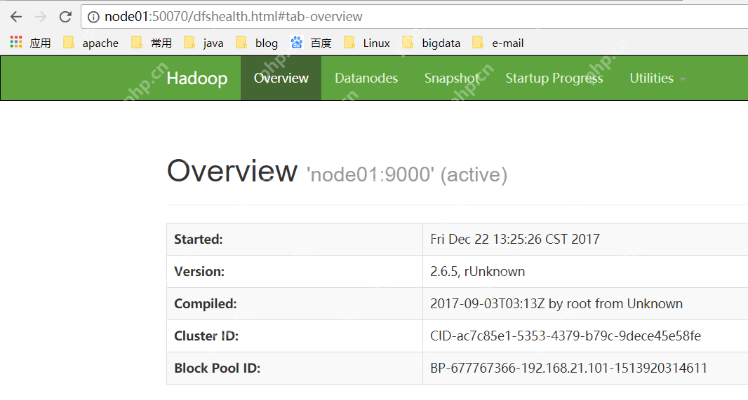 Hadoop完全分布式集群搭建