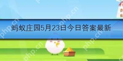 空腹吃荔枝多了可能导致低血糖这种说法