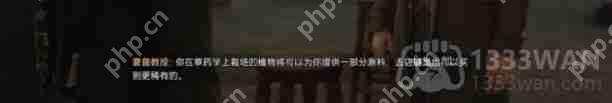 霍格沃茨之遗魔药学课程怎么过-主线魔药学课程通关攻略