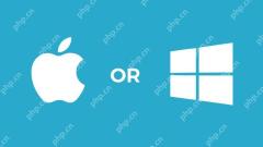 macOS怎么安装Office365