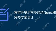 Design of the solution to synchronously start Nginx service in a cluster environment