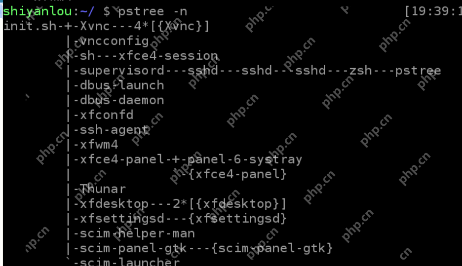linux学习笔记四