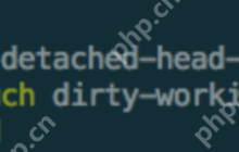 将美化进行到底，把 PowerShell 做成 oh-my-zsh 的样子