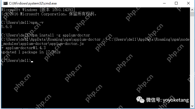 Appium+python自动化54-appium-doctor