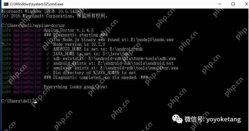 Appium+python自动化54-appium-doctor