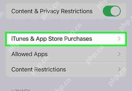 apple store被删除了怎么办 App Store恢复方法