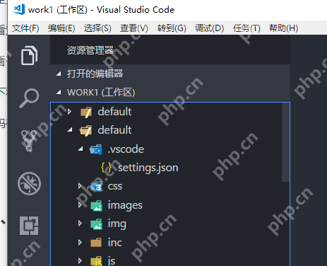 vscode-輕量級實用編輯器                                                                             原