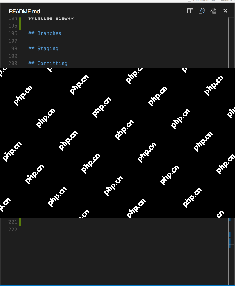 vscode-輕量級實用編輯器                                                                             原