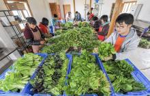 教你0技术10分钟快速开发生鲜送菜app，成本节省90%