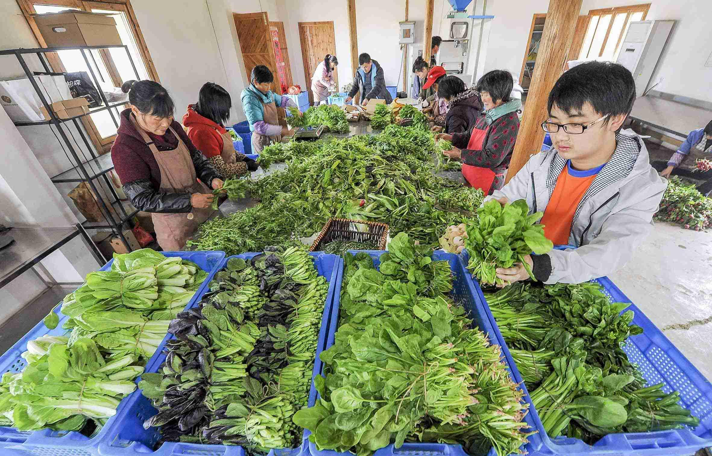 教你0技术10分钟快速开发生鲜送菜app，成本节省90%