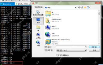 XShell上传、下载本地文件到linux服务器