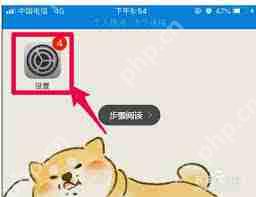 苹果手机上怎么取消优酷自动续费