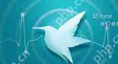 迅雷7如何下载大文件？下载大文件操作方法一览