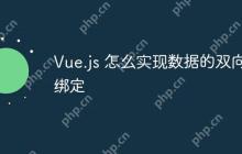 Vue.js 怎么实现数据的双向绑定