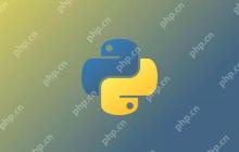 Python | “Python太火，我都不敢不把这些告诉你”