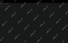 zsh (+fish) = 完美终端