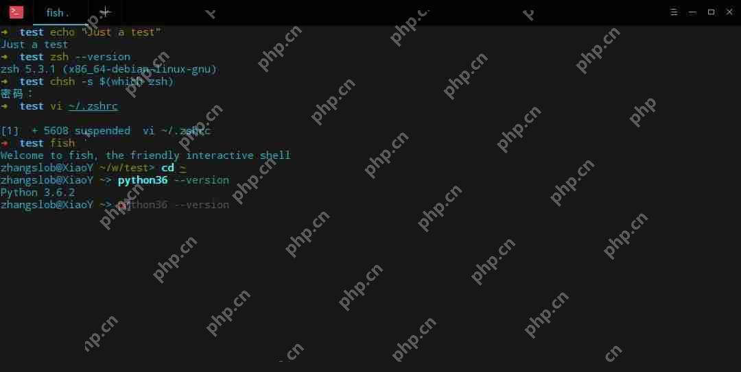 zsh (+fish) = 完美终端