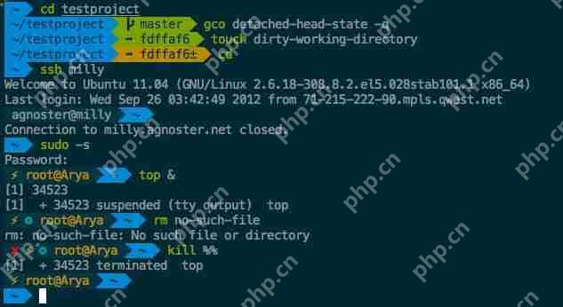 zsh (+fish) = 完美终端