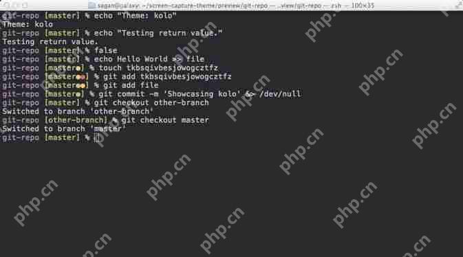 zsh (+fish) = 完美终端