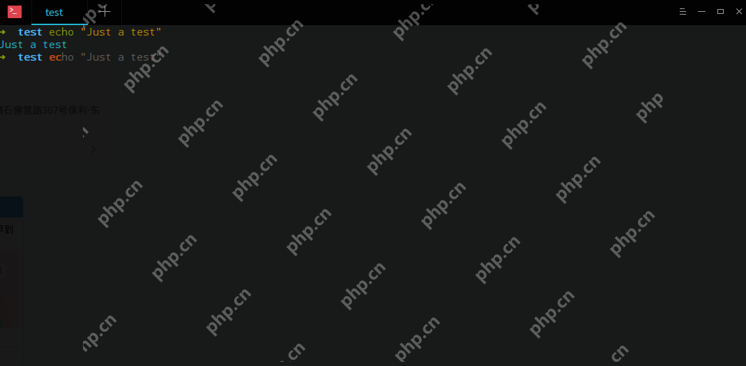zsh (+fish) = 完美终端-小浪学习网