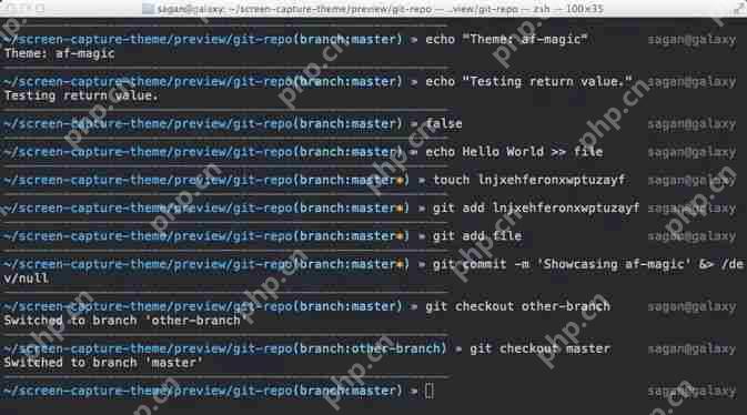 zsh (+fish) = 完美终端