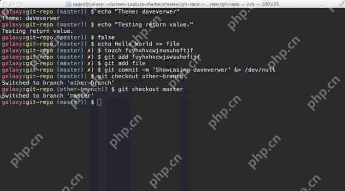 zsh (+fish) = 完美终端
