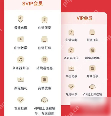 恩雅音乐app怎么办会员 恩雅音乐开通会员方法