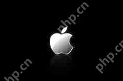 在苹果手机里怎么更新微信？更新微信的方法讲解