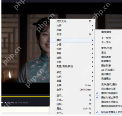 PotPlayer怎么设置进度条显示时间?