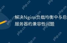 解决Nginx负载均衡中与后端服务器的兼容性问题