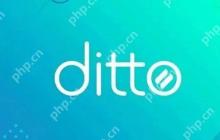 电脑技巧：Ditto剪切板增强工具介绍