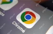 电脑如何下载谷歌浏览器 电脑端获取谷歌浏览器指南