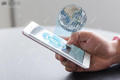 Web开发与App开发的商业策略考量