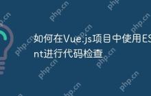 如何在Vue.js项目中使用ESLint进行代码检查