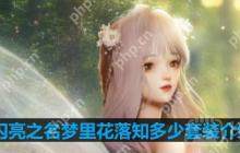 以闪亮之名梦里花落知多少套装介绍-梦里花落知多少细节展示