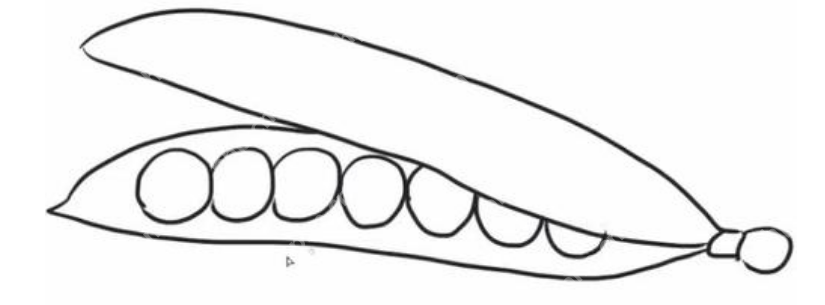 qq画图红包豌豆怎么画?QQ画图红包所有图案画法汇总