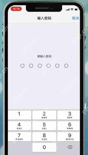 苹果手机设置面容id不能用怎么处理？处理面容id不能用的方法说明