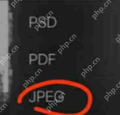 ProcreatePocket怎么导出图片