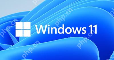 win11怎么把麦克风打开