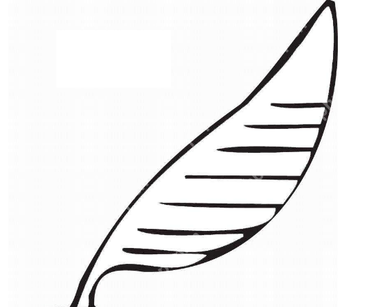 QQ画图红包怎么画羽毛 QQ画图红包羽毛画法一览 