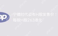 宁德时代公布H股发售价：每股H股263港元