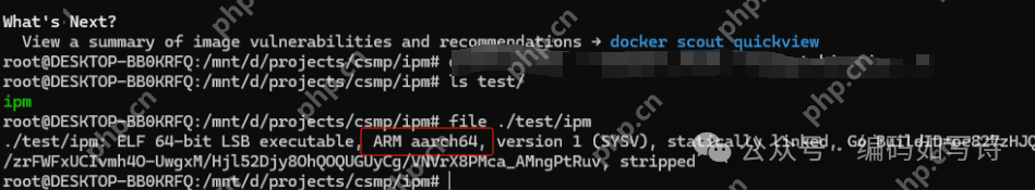 神器:WSL和Docker--程序員和運維人員的致勝法寶