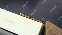 Bagaimana untuk berurusan dengan tidak ada bunyi di IphoneExs? Penyelesaian Penerangan Cara Menangani Tidak Bunyi di IphoneExs
