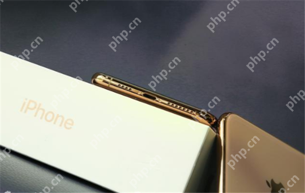 手机iPhonexs中没声音怎么处理？解决方法机iPhonexs中没声音的处理方法说明