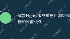 Solve performance optimization for slow response after Nginx service restart