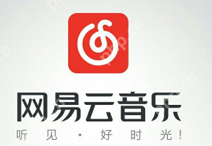 网易云音乐黑胶vip和音乐包有什么区别 黑胶vip和音乐包性价比对比