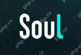 soul怎么导出个人信息